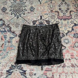 Sequined Skirt